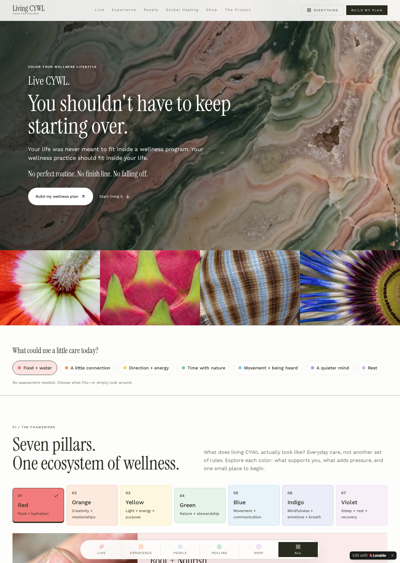 Color Your Wellness homepage